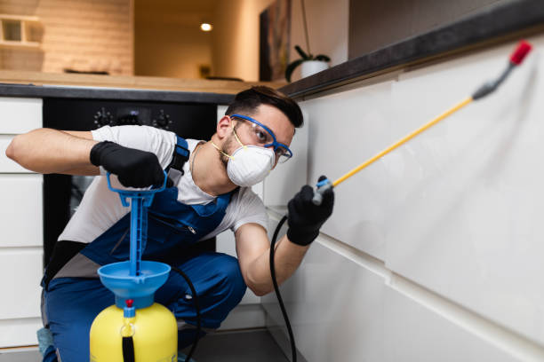  Berkeley, CA Pest Control Pros