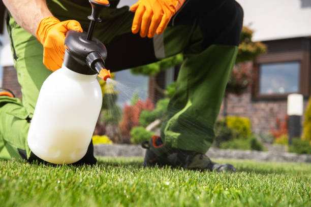 Best Wasp Removal Services  in Berkeley, CA