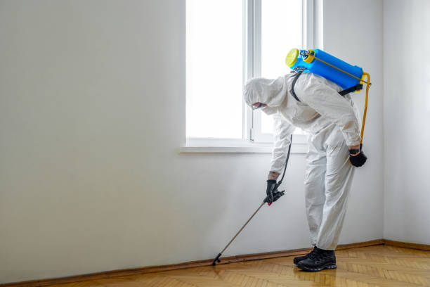 Best Pest Removal Services  in Berkeley, CA