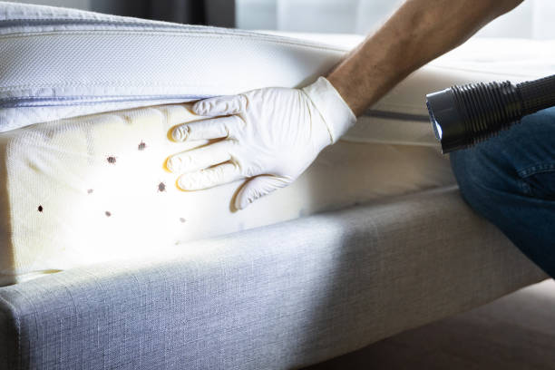 Best Affordable Pest Control Services  in Berkeley, CA