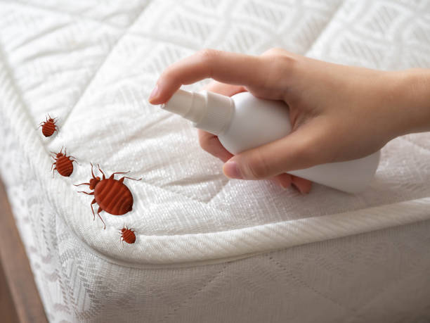 Best Commercial Pest Control Services  in Berkeley, CA